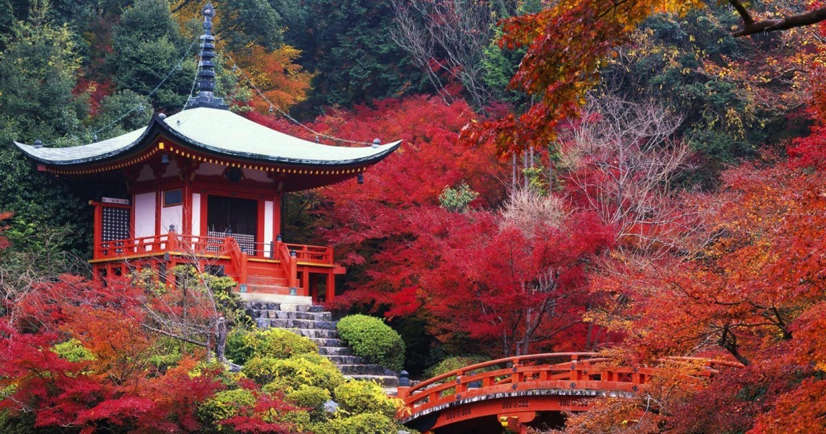 ¿Por qué debes hacer un viaje a Japón una vez en tu vida?