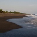¿Cuáles son las playas más hermosas de Guatemala para nadar y surfear?